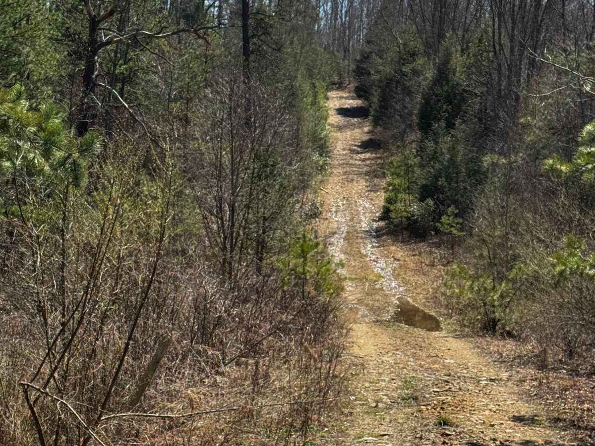 Little Council Run Trail photo 5