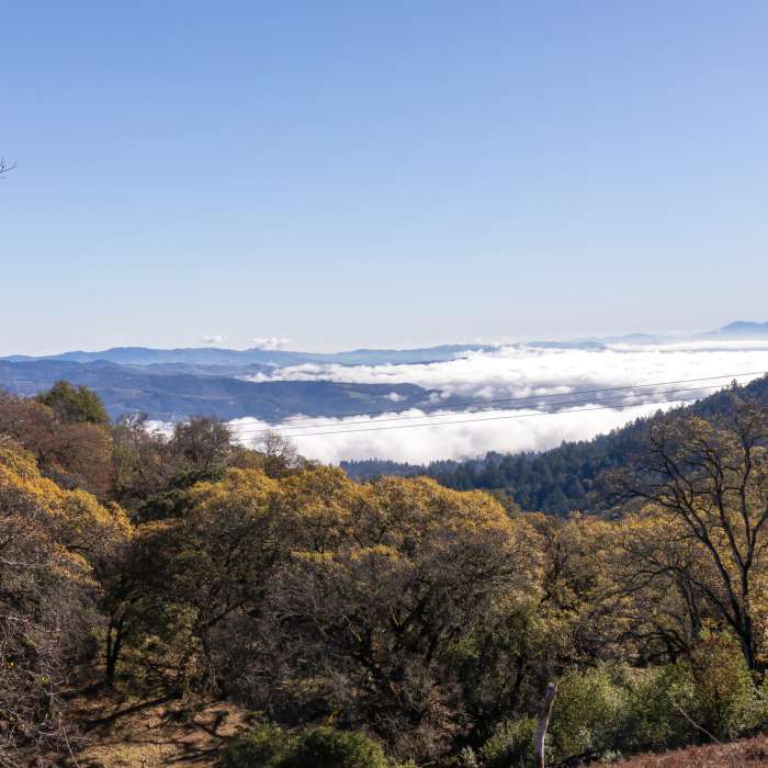 Near North Sonoma Mtn Trailhead to Sonoma Mtn Peak