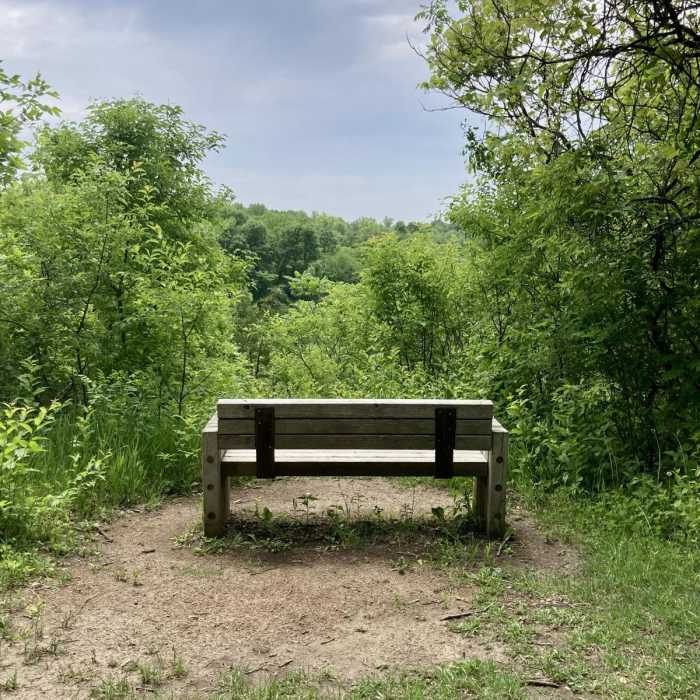 Near Sumac and Meadowlark Loop Near Sumac and Meadowlark Loop