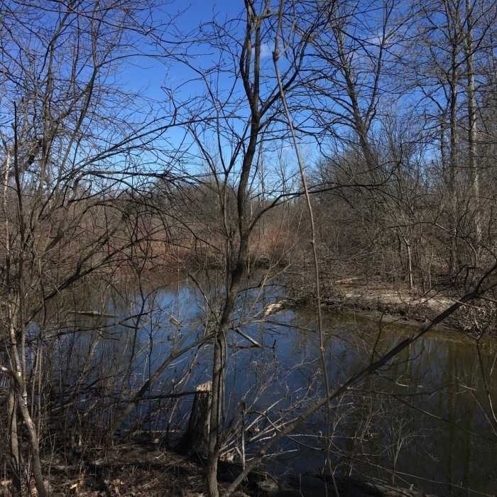 Sam Graham Trees Trail | Hiking Trail Maps, Difficulty, Trail Status | onX