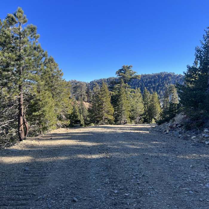 Near Top of the Notch to Cucamonga