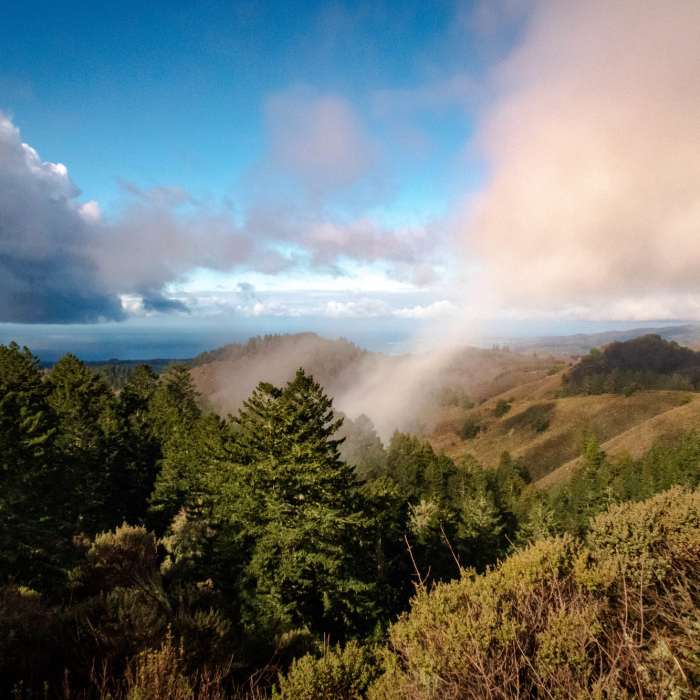 Coastal view Near Whittemore Gulch Trail