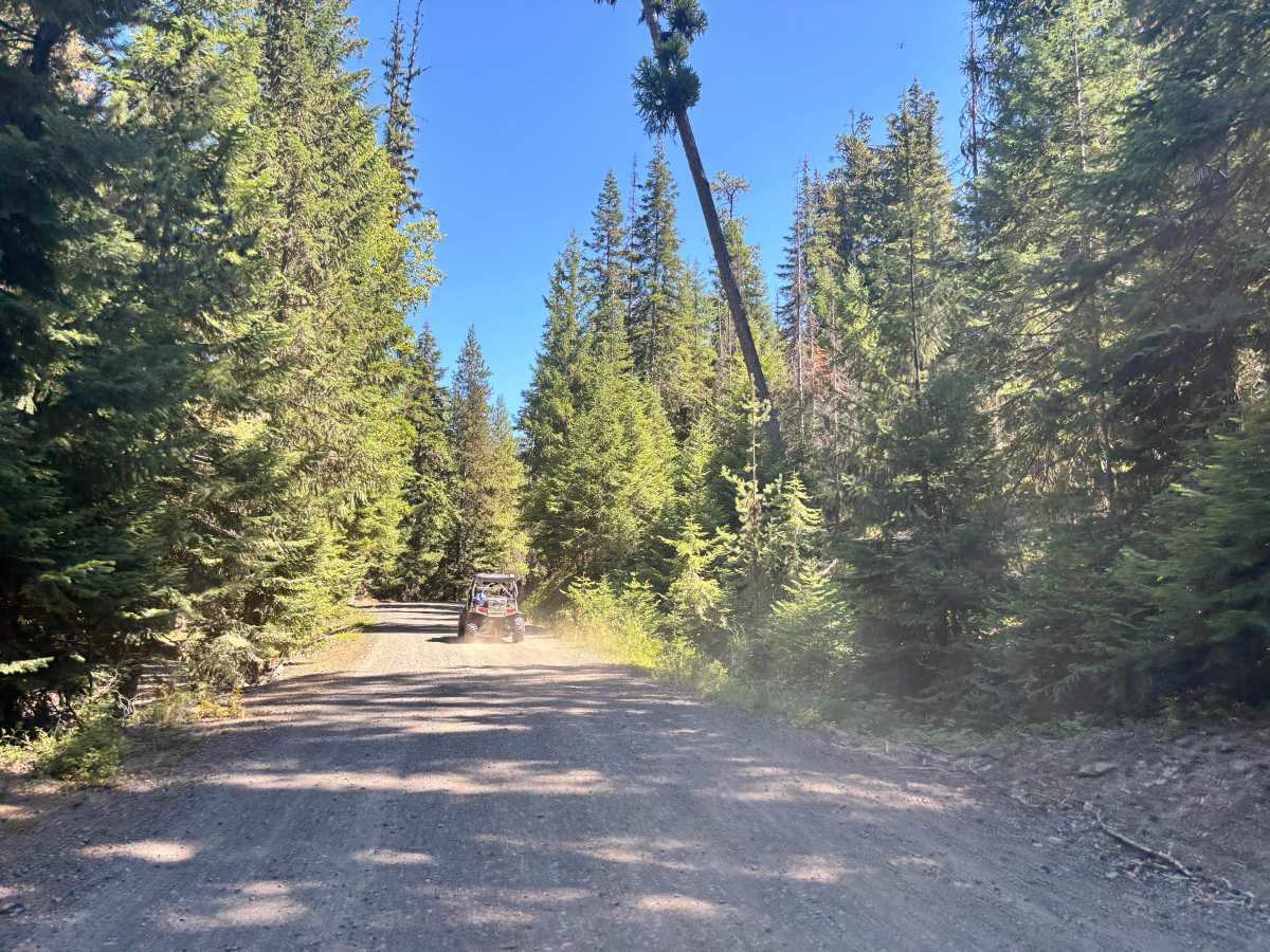 Quartz Meadows photo 2