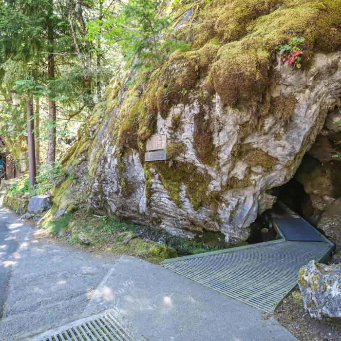 Near Cliff Nature Trail Near Cliff Nature Trail