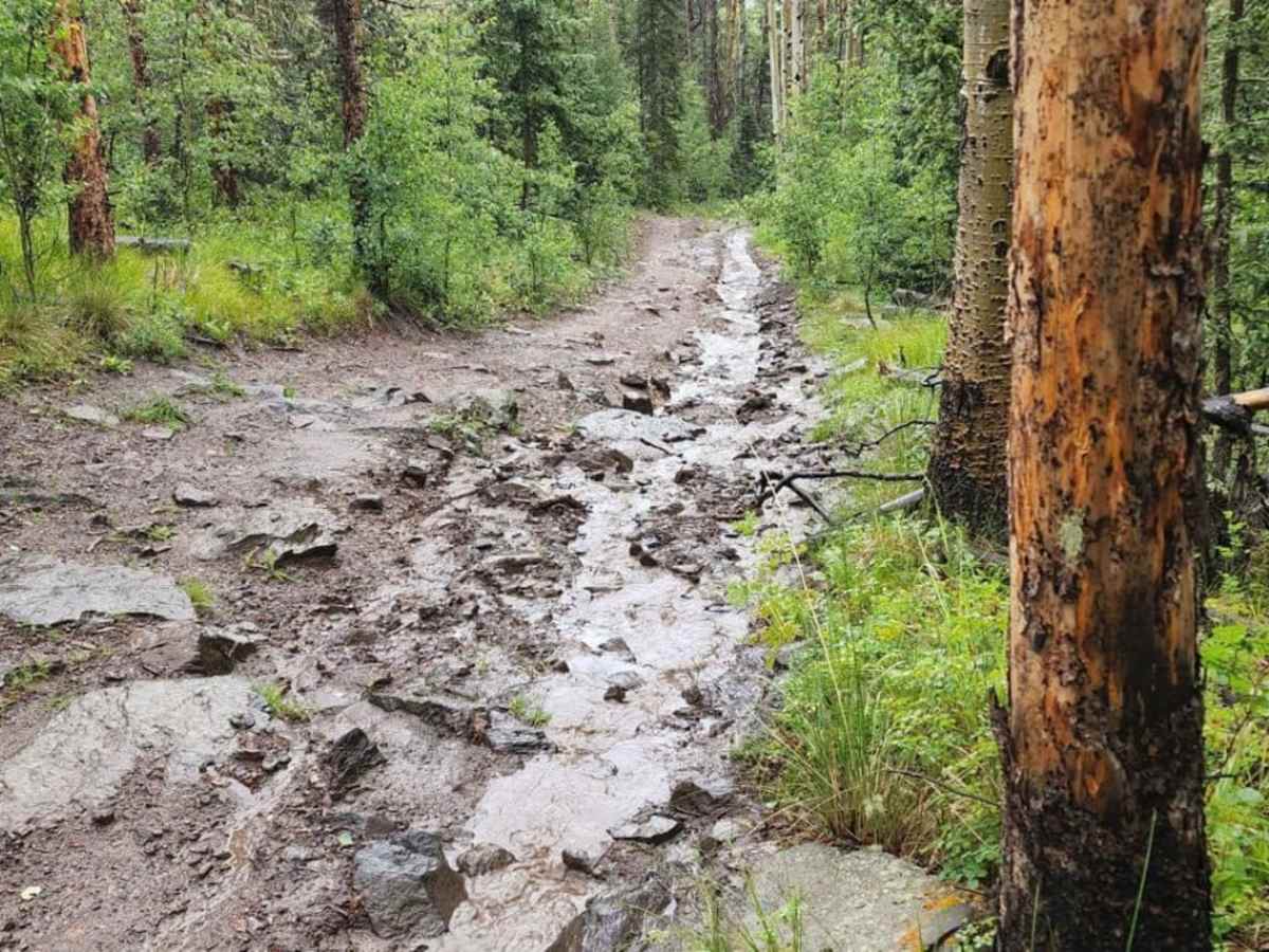 Lake Mountain trail photo