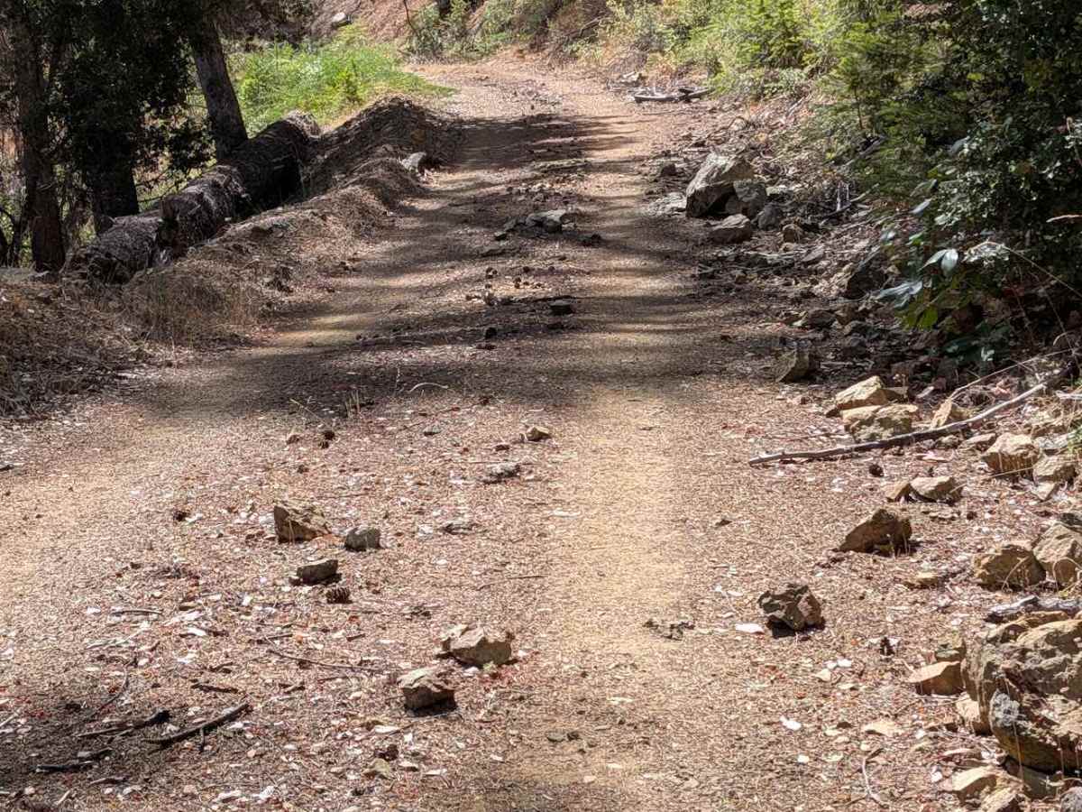 Steep Road - FS 3N01 trail photo