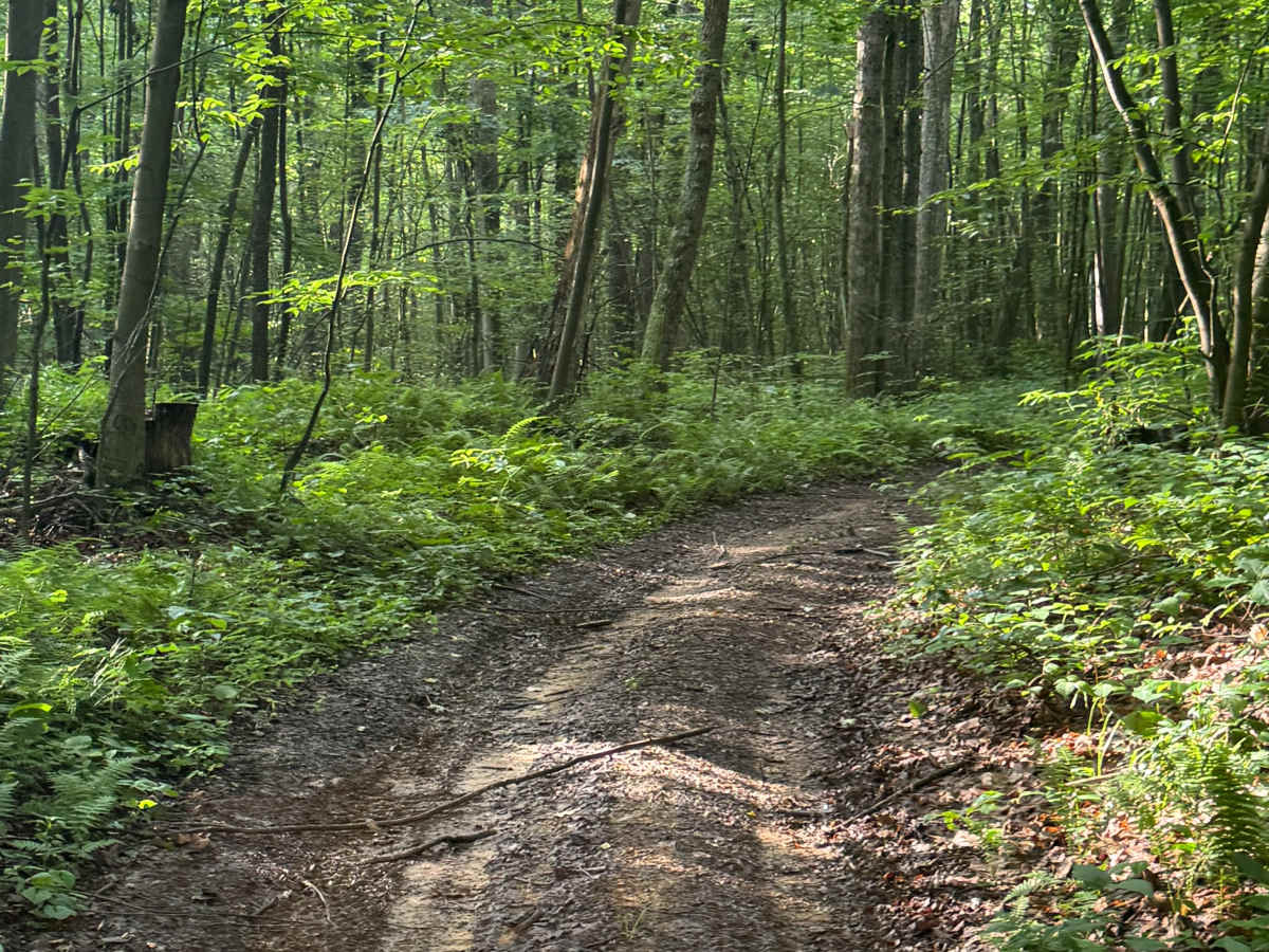 Trail 52 photo 3