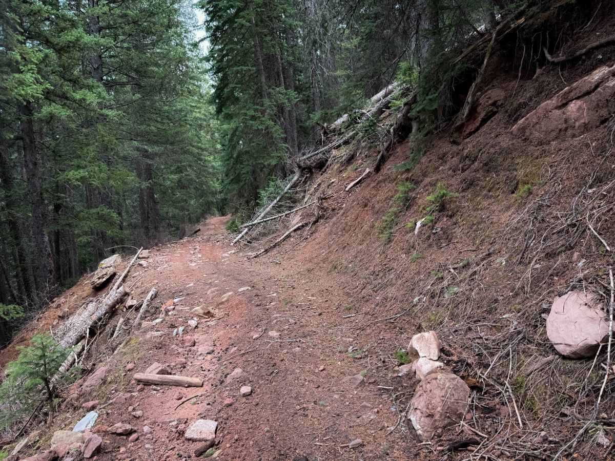 Trail 16   photo 4