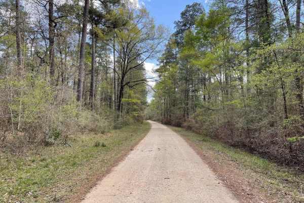 Phelps Road