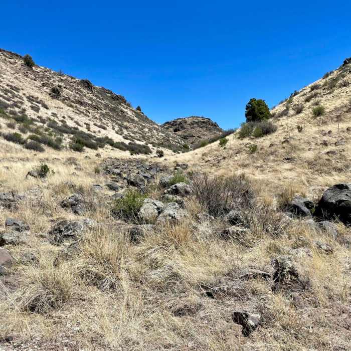 Near Continental Divide Trail: Gila River Alternate (Part 3)