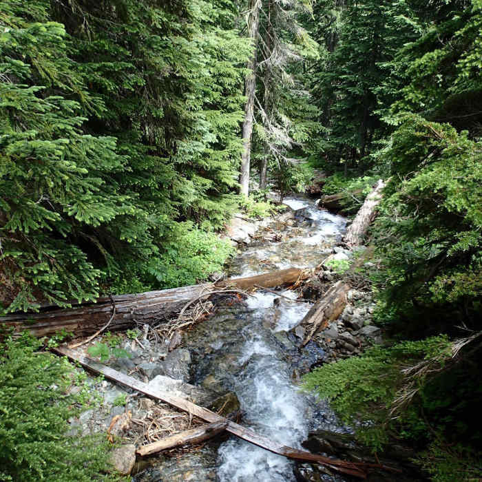 Little Waterfall. Near Pyramid Lake Trail