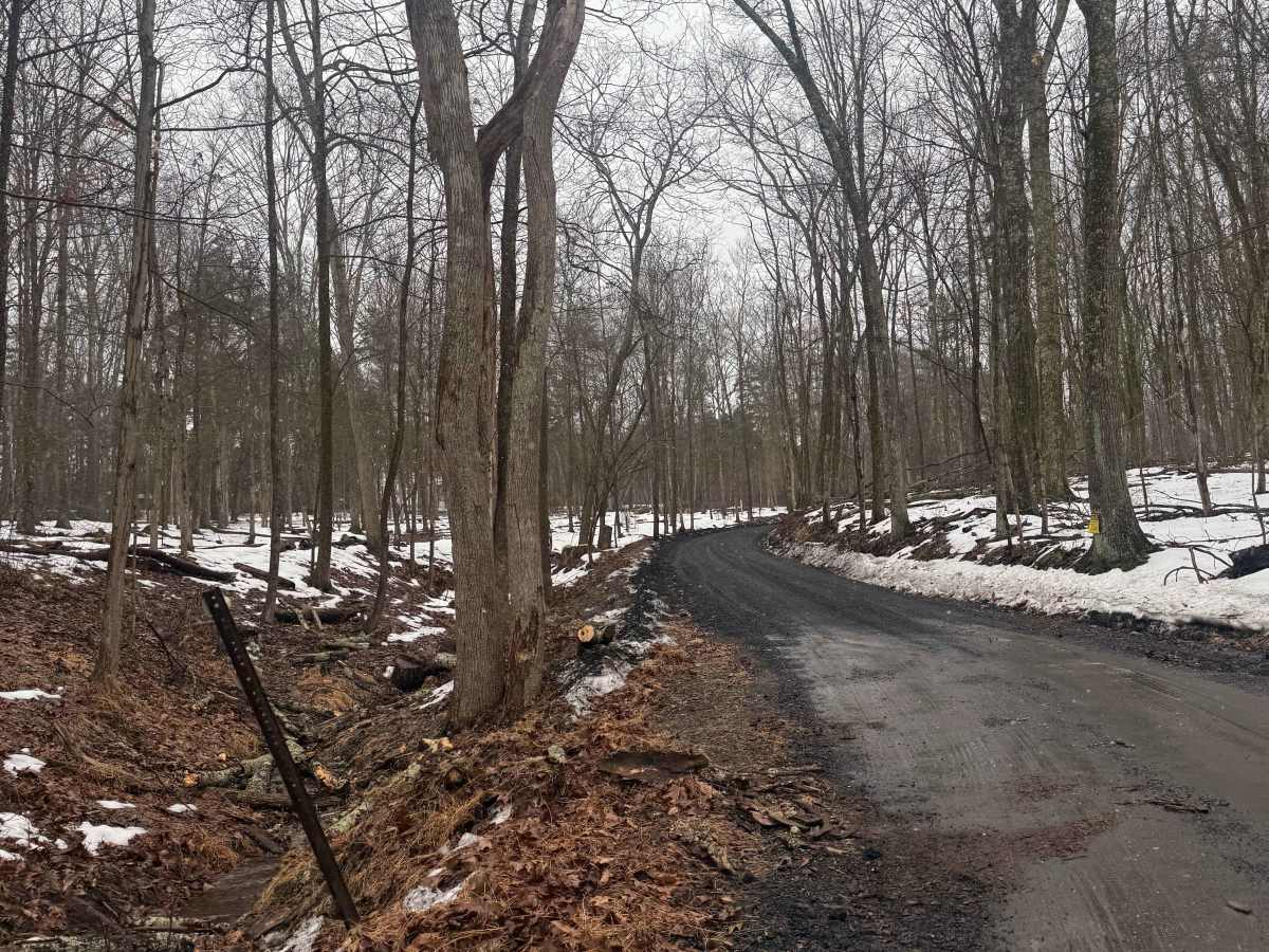 Mount Airy Road  trail photo