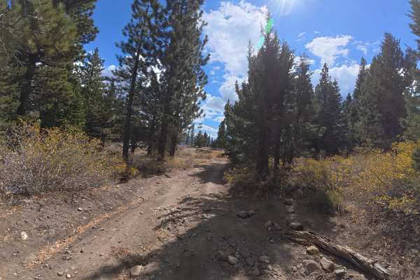 Creek Road Spur F