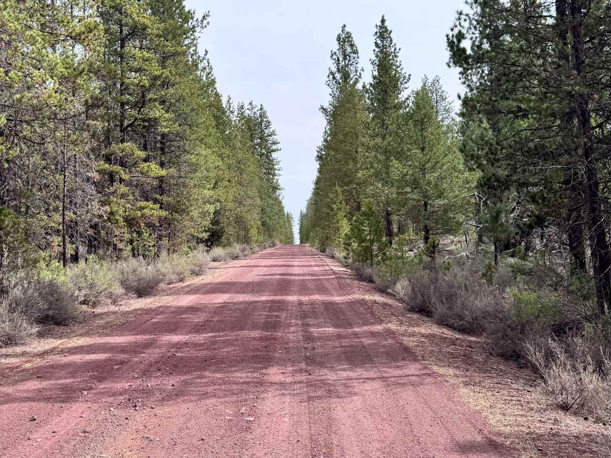 Kirk Road photo 4