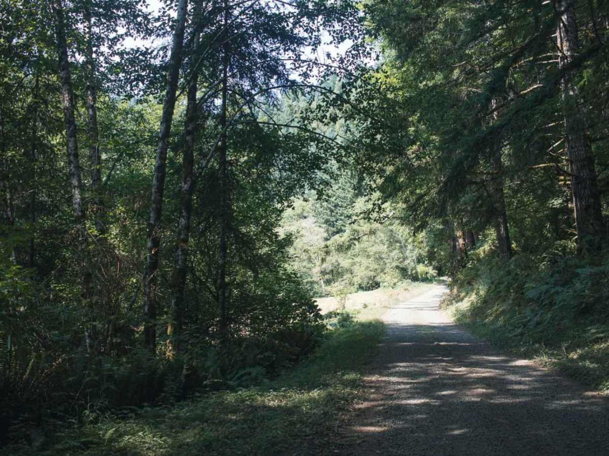 Gopher Creek photo 6