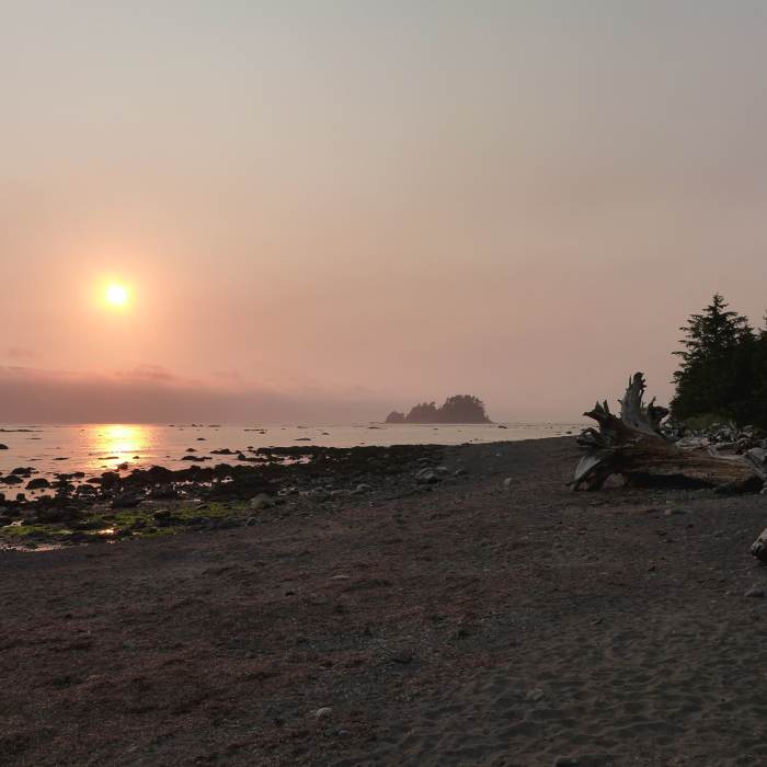Near Ozette Triangle