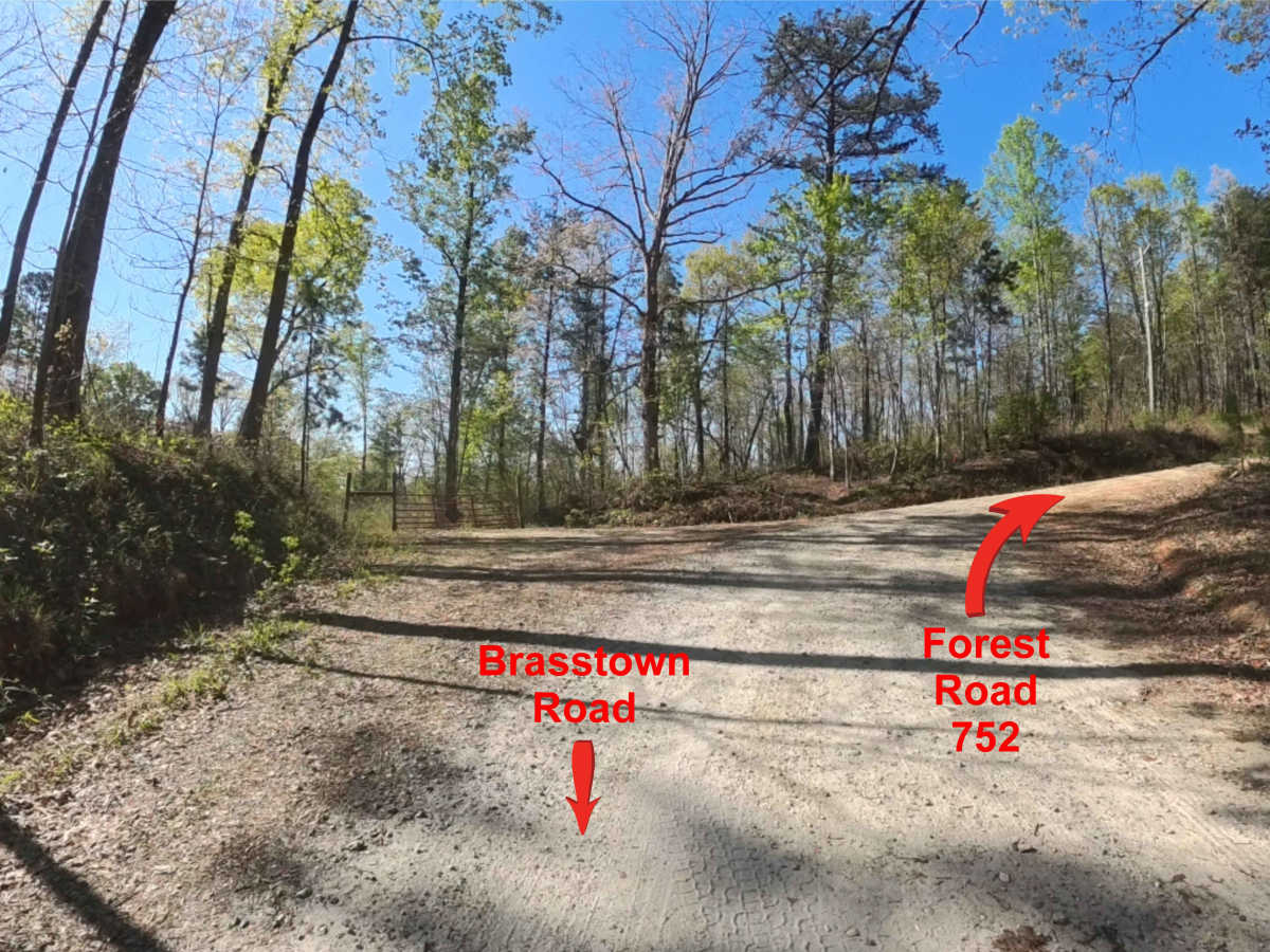 Forest Road 752 trail photo