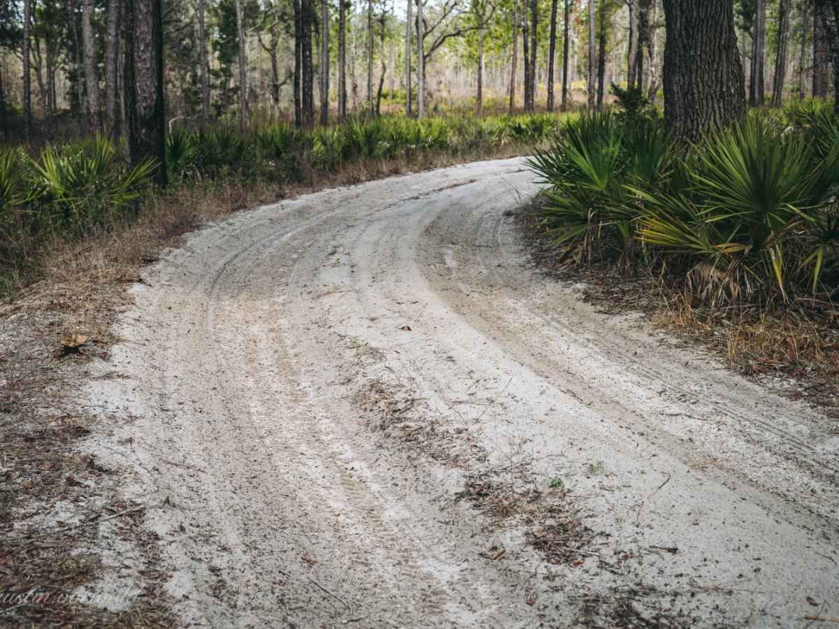 Rattlesnake Road - Jennings State Forest photo 3
