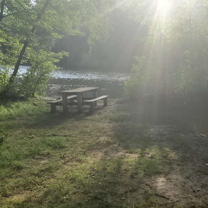 Near Mill Pond Trail