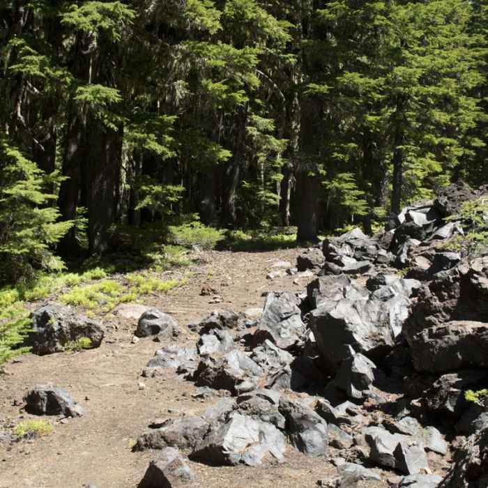 Near Obsidian Trail Hike Near Obsidian Trail Hike