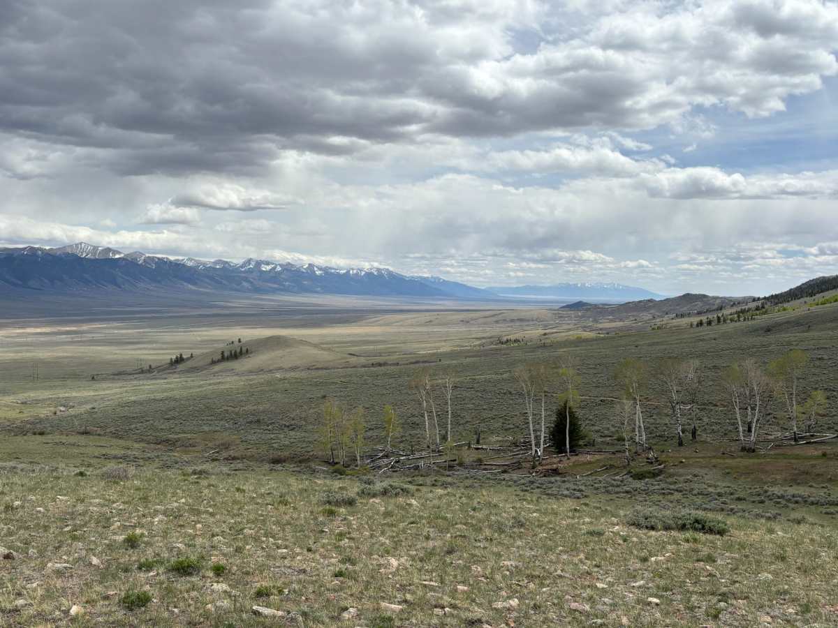 Wild Bill Gulch Road photo 6