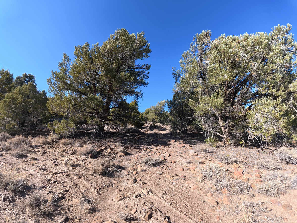 Masonic Hook trail photo