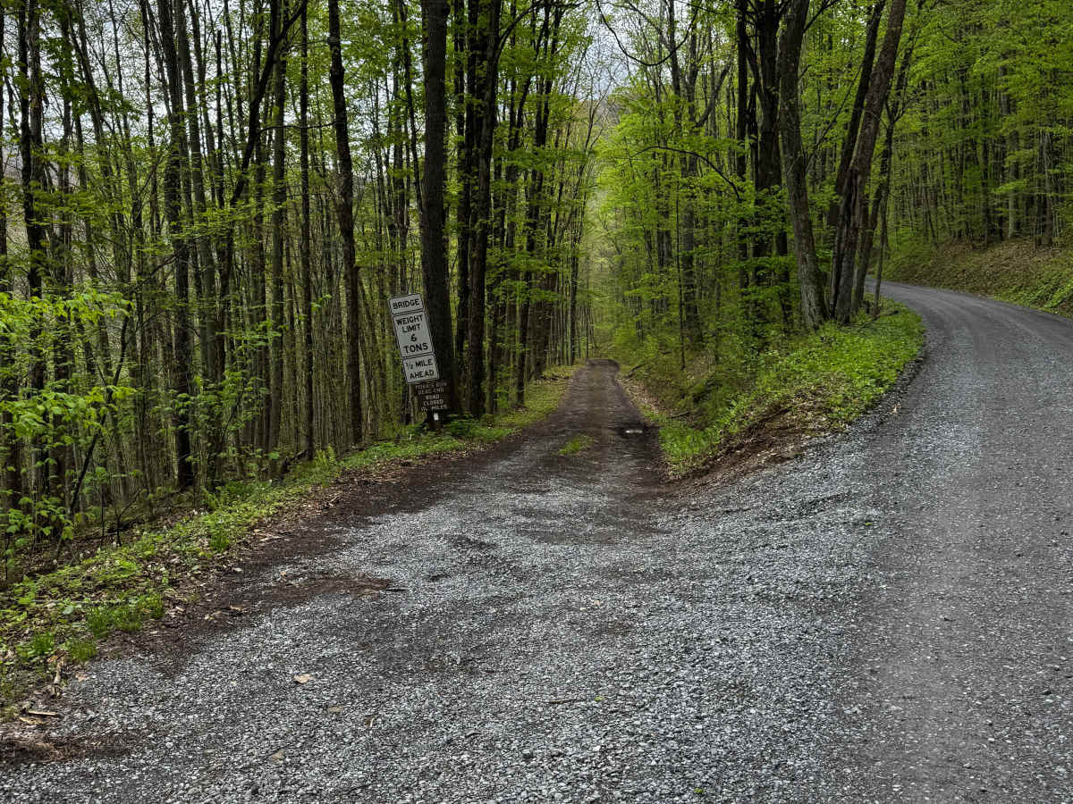 Morris Road photo 2