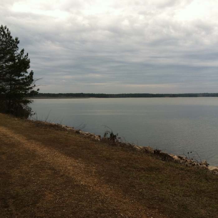 A great view of the lake from this sitting bench along the trail. Near Lakeside Trail