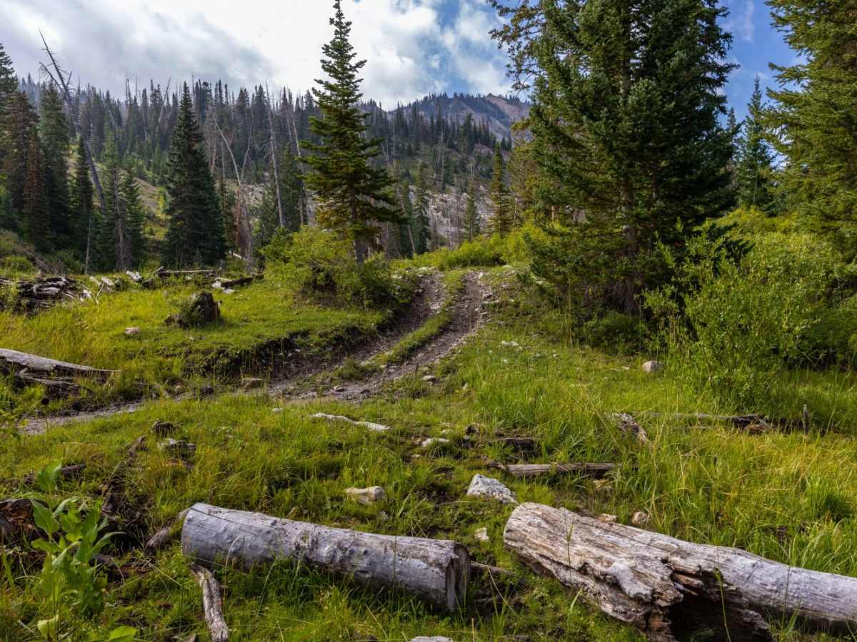Step Flat Trail photo 2