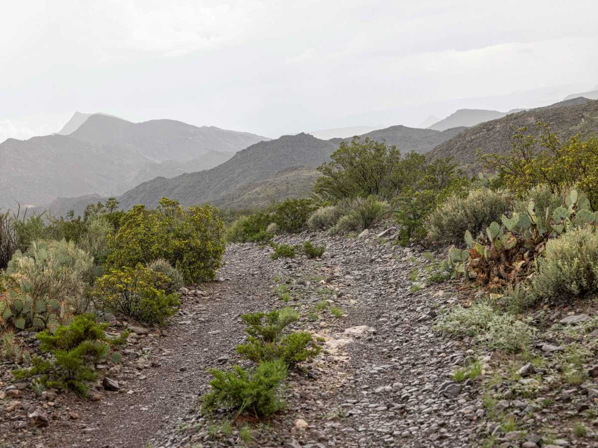 BBRSP Fresno Canyon Rd. trail photo