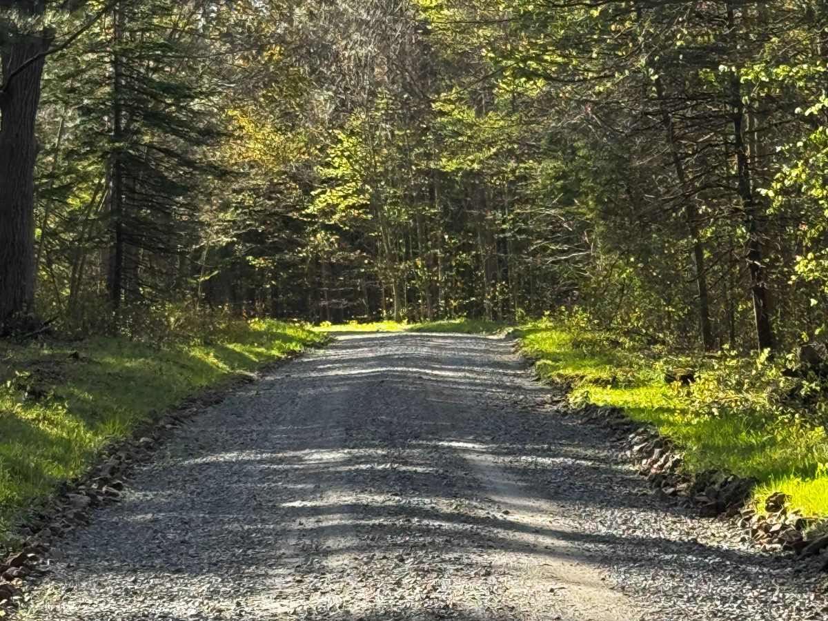 Harley Dean Road trail photo