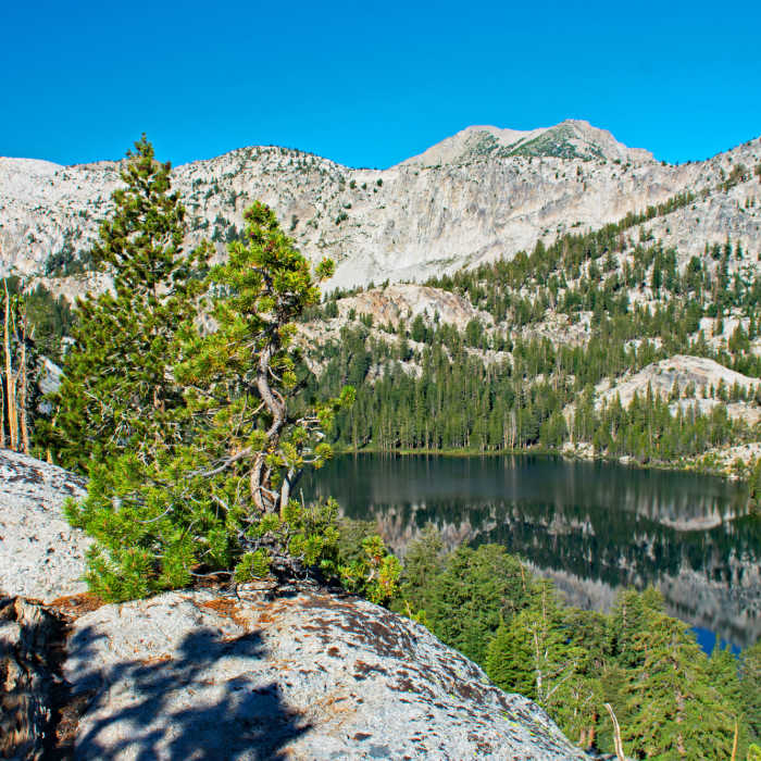 Olive Lake from ridge between it and Peter Pande. It looks so close, but there is a cliff between here and the trees below. Near Peter Pande Lake #27E14