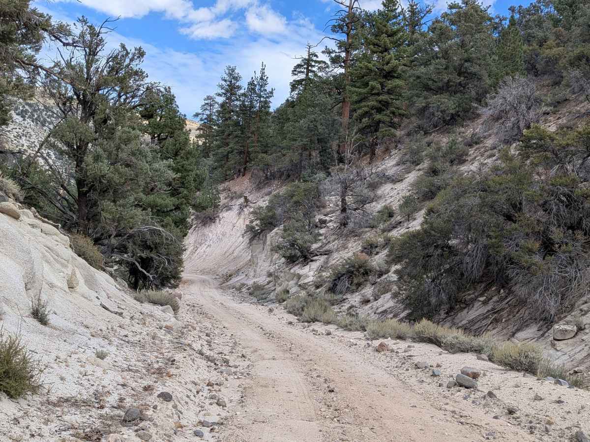 Burcham Flat Road North trail photo