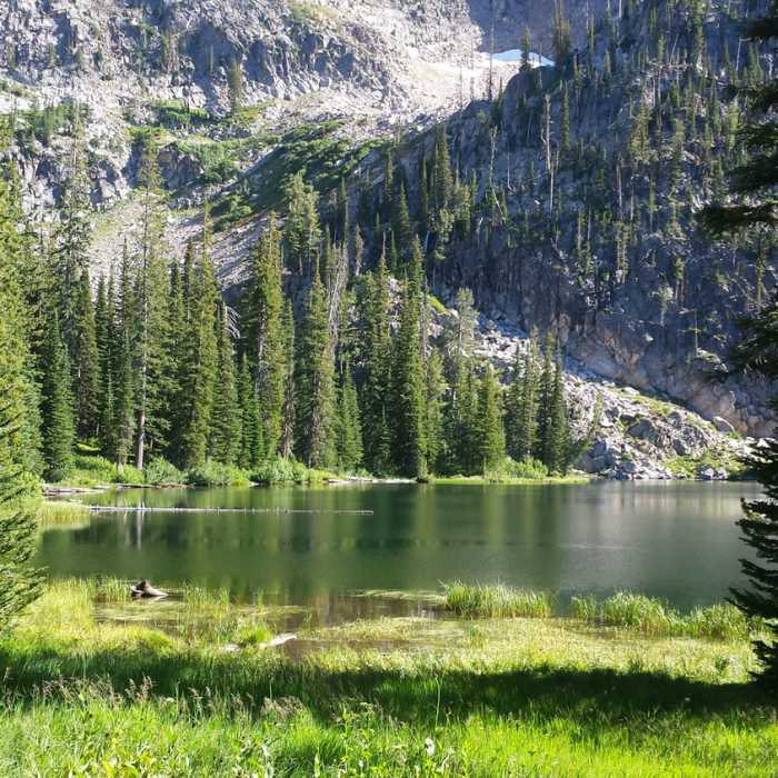 Near Snowslide Lake Out and Back