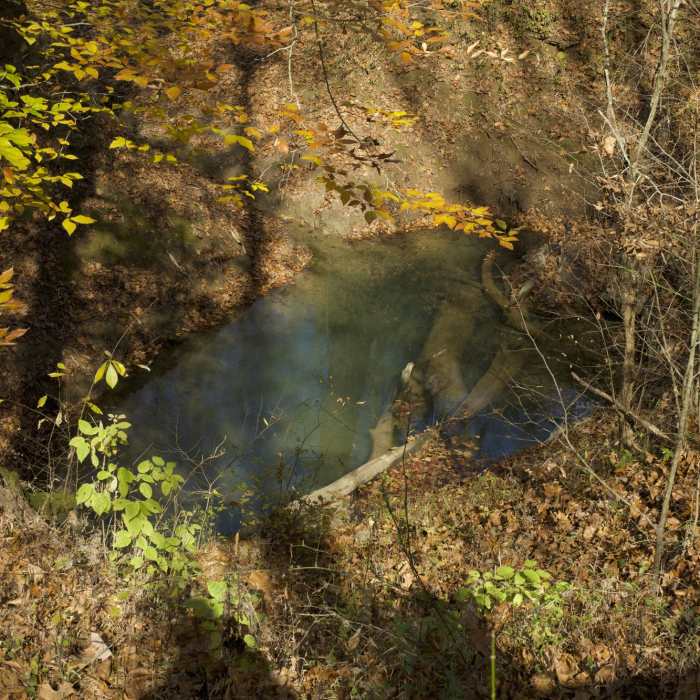 Near Echo River Spring Trail