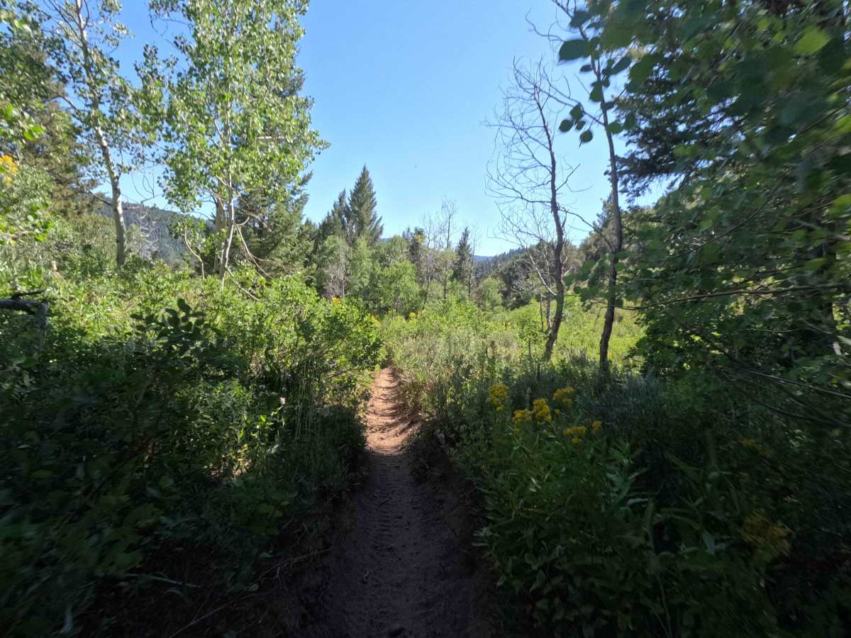 Davis Canyon photo 5