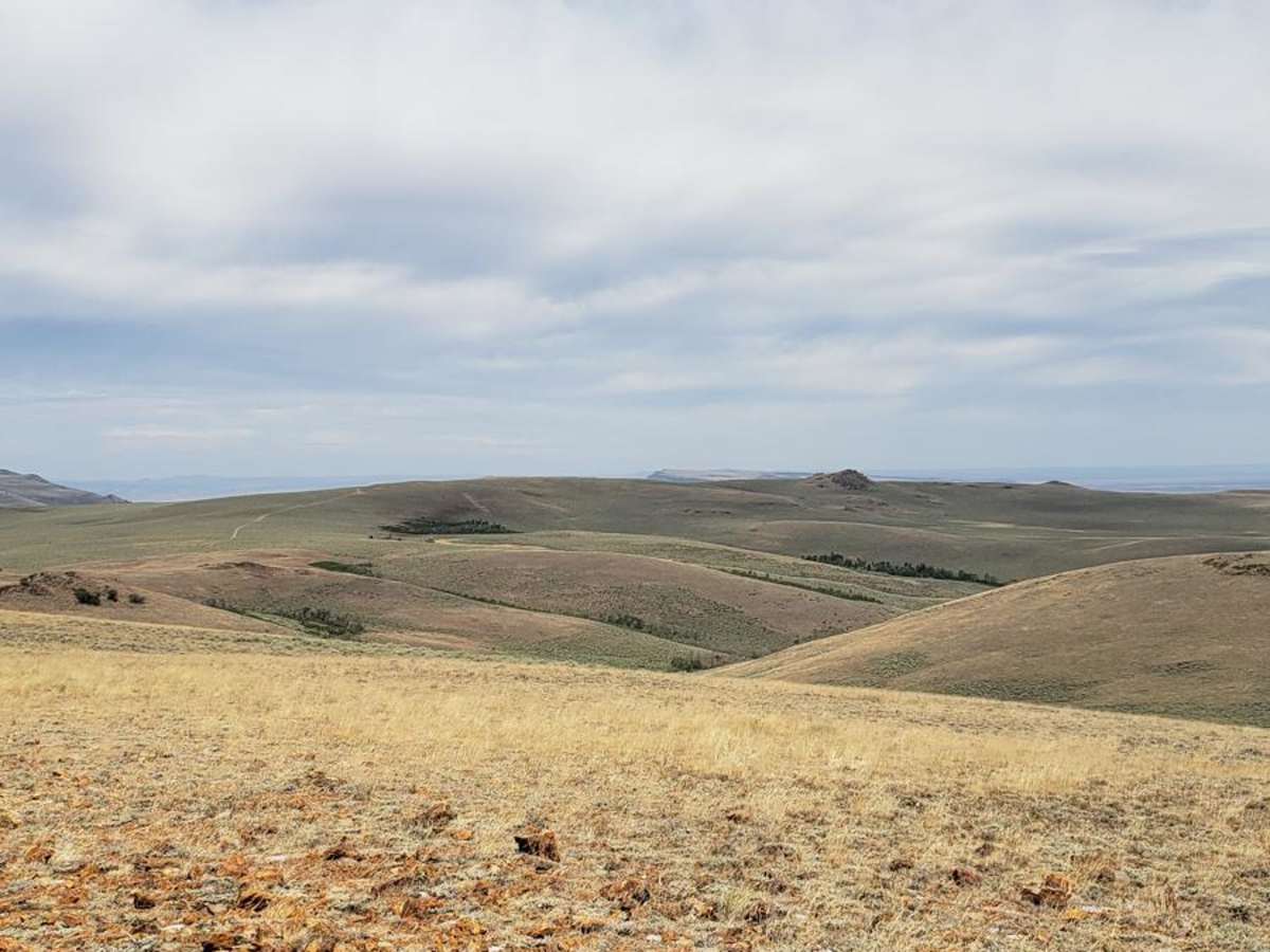 Skyline Drive Trail photo 2