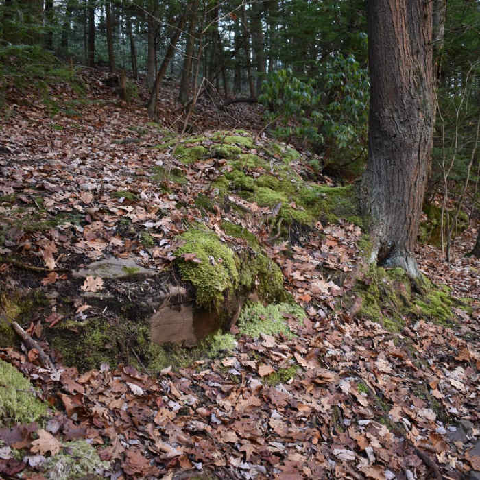 Near Audubon Loop Trail Near Audubon Loop Trail