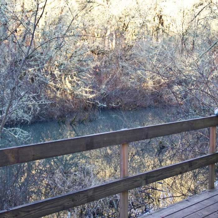 Near Mount Pisgah Arboretum Hike