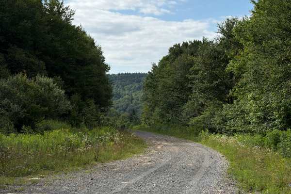 South Fork Cherry Road