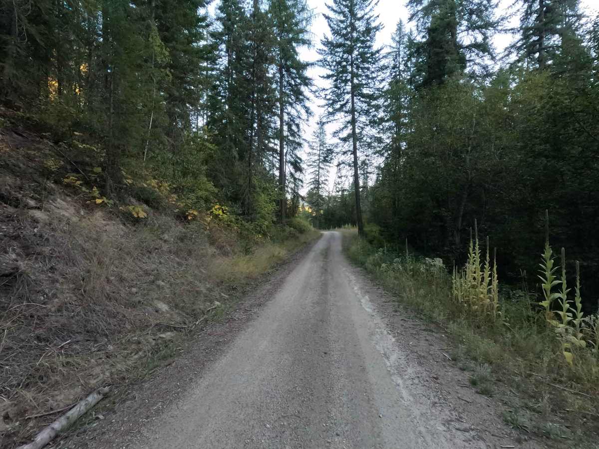 Drummond Creek - FS 9545 photo 3