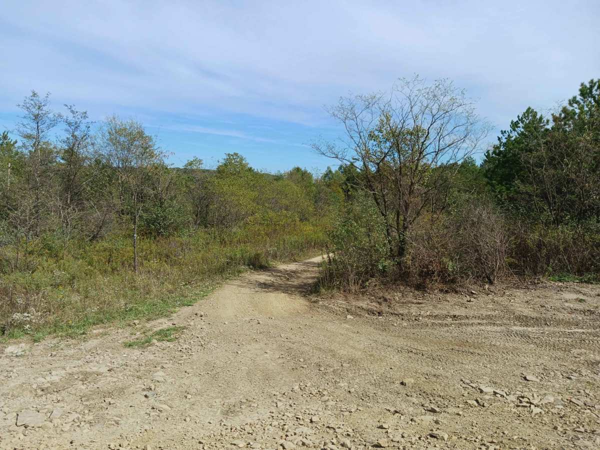 Trail 10 - Rock Run Recreation Area photo 4