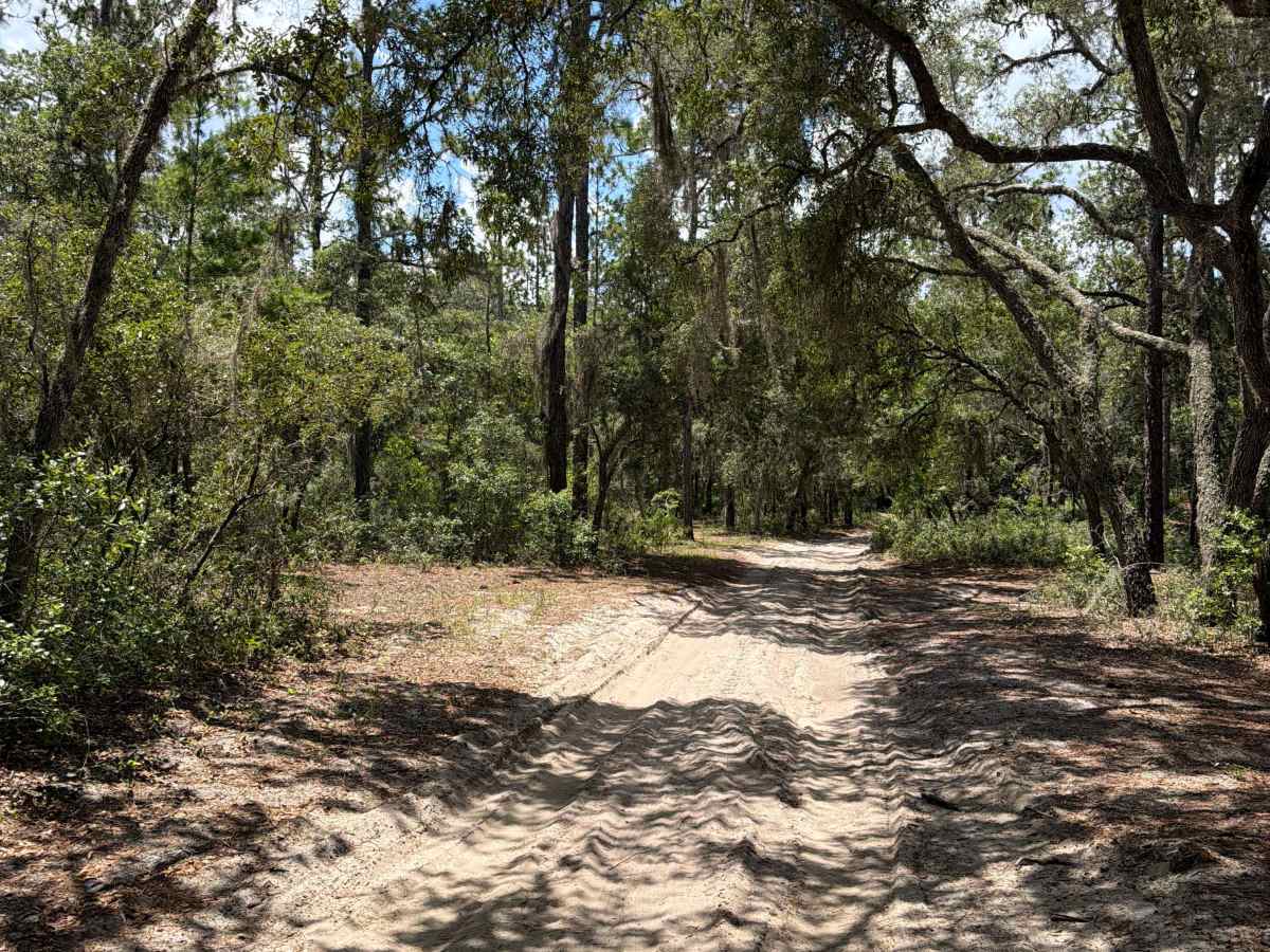 Shoesale Lake Loop photo 4