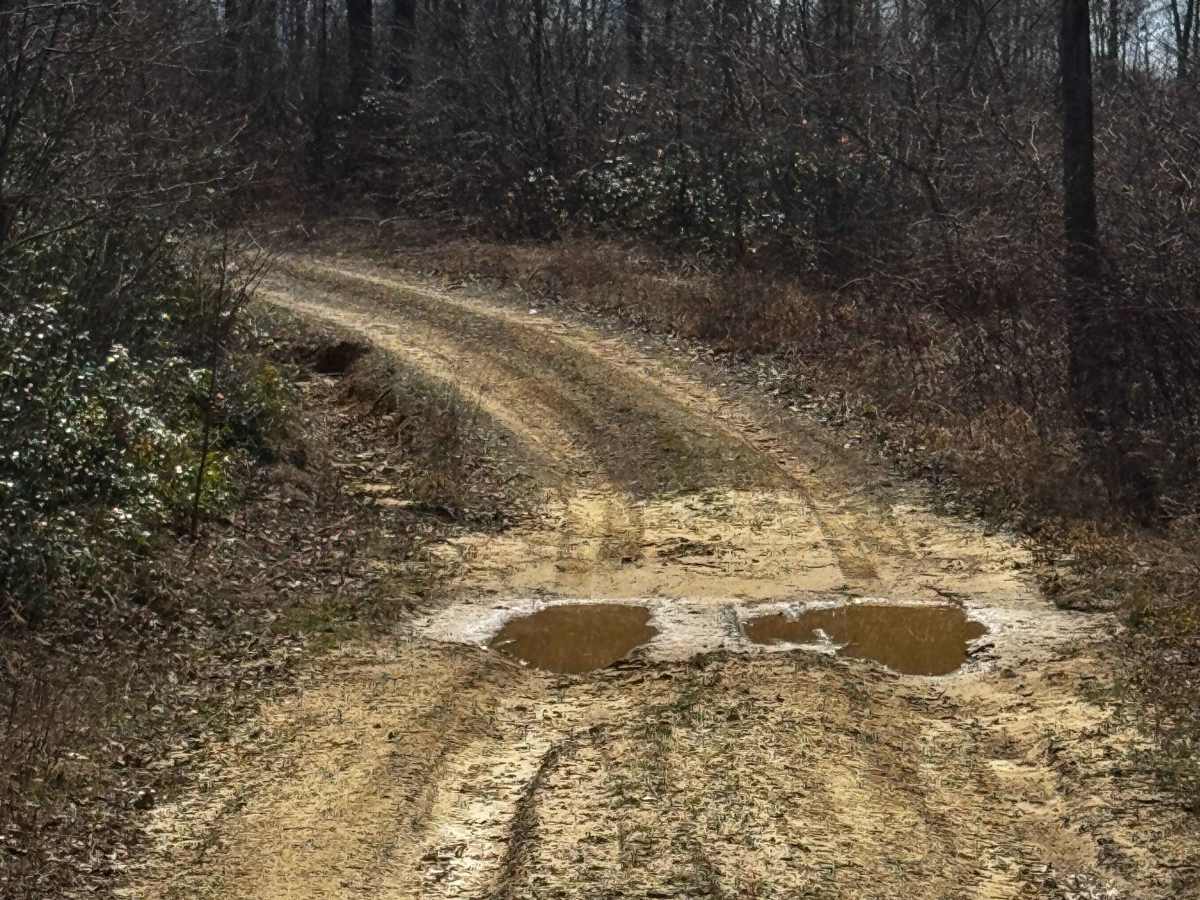 Laurel Run Trail photo 3