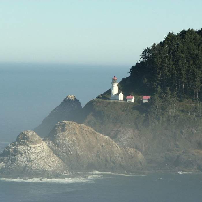 Near Heceta Head Trail