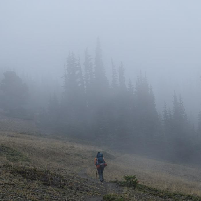 Near Grand Pass Loop