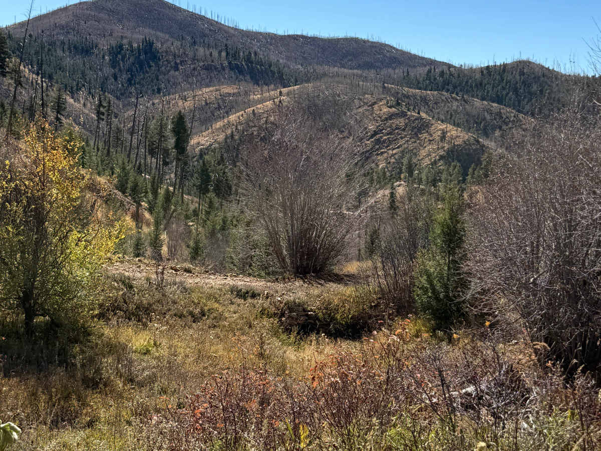 Valle de la Piedra Loop - FS 92 trail photo