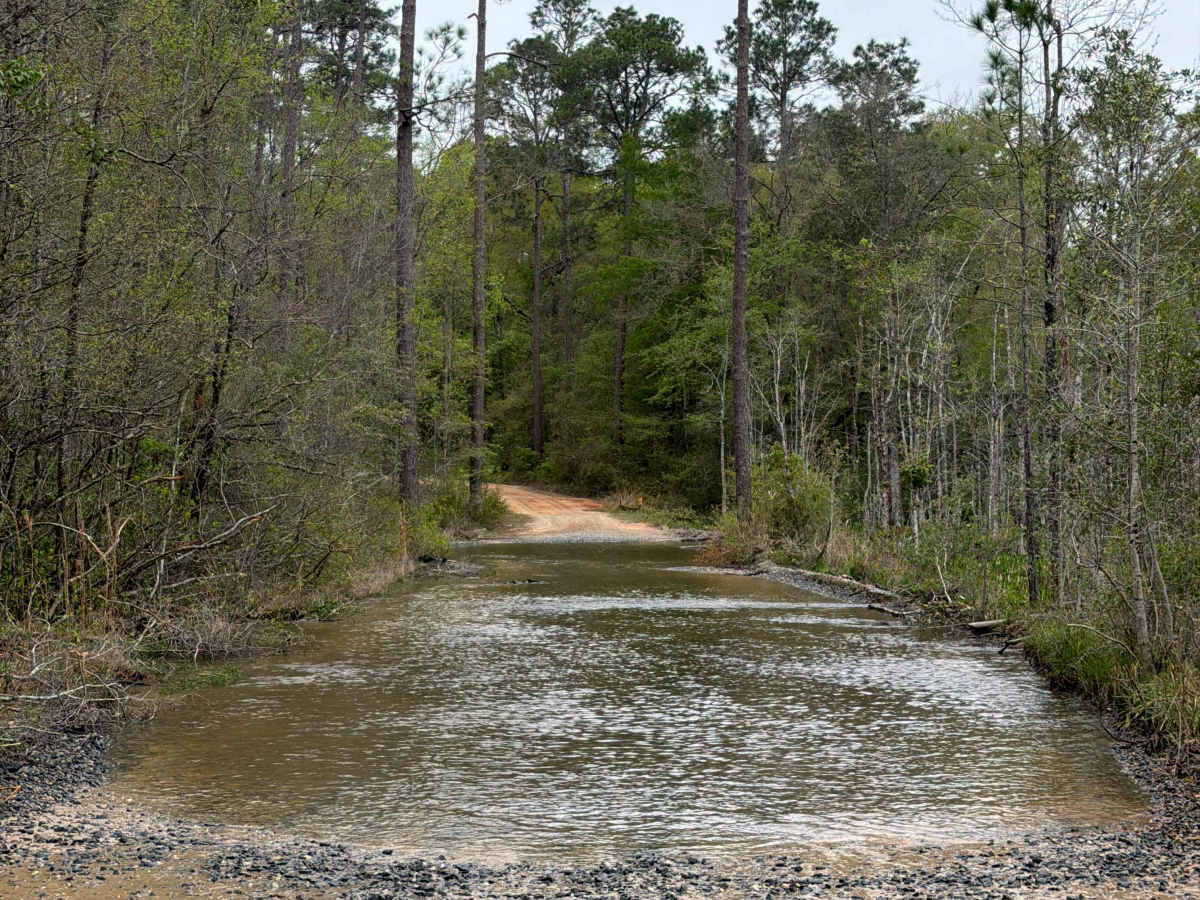 McDaniel Road photo 2