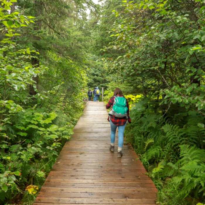 Near Winner Creek Trail