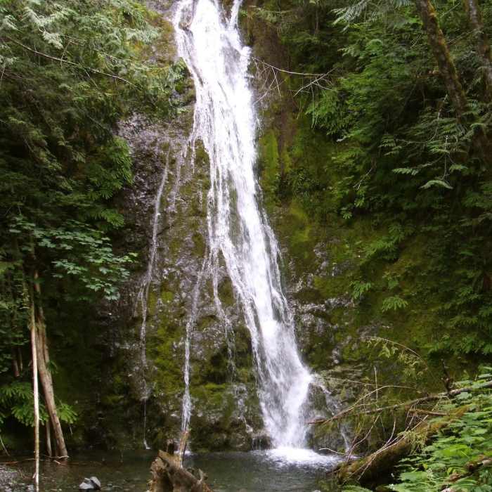 Madison Fall Near Elwha Dam Removal Site